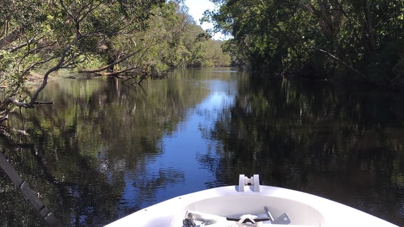 Hire a power boat for the day and discover the unique beauty and wilderness of the Noosa Everglades and the southern section of the Great Sandy National Park on a self drive boat tour!

